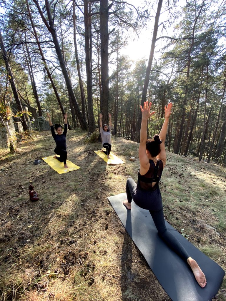 Cours de yoga en forêt de Fontainebleau