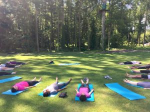 yoga et cheval en forêt de Fontainebleau