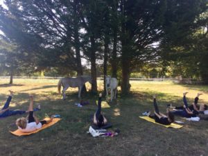 Yoga et Cheval Fontainebleau