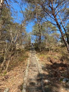 Coaching Trail, Renfo et Respiration - Fontainebleau