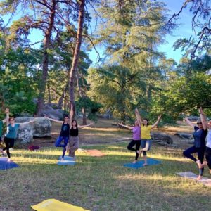 Yoga Fontainebleau
