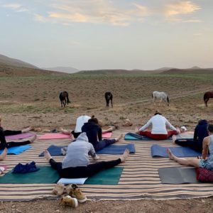 Yoga & Cheval au Maroc