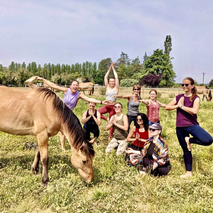 YOGA CHEVAL FNTAINEBLEAU