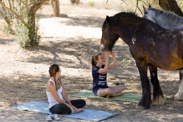 Retraite Yoga Cheval Pyrénées