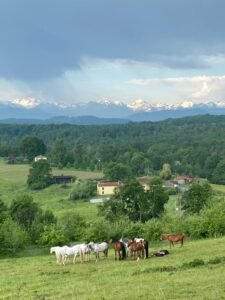 Retraite Yoga et Cheval Ariège 
