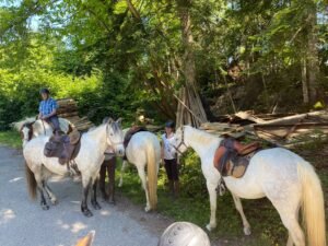 Retraite Yoga et Cheval Ariège 