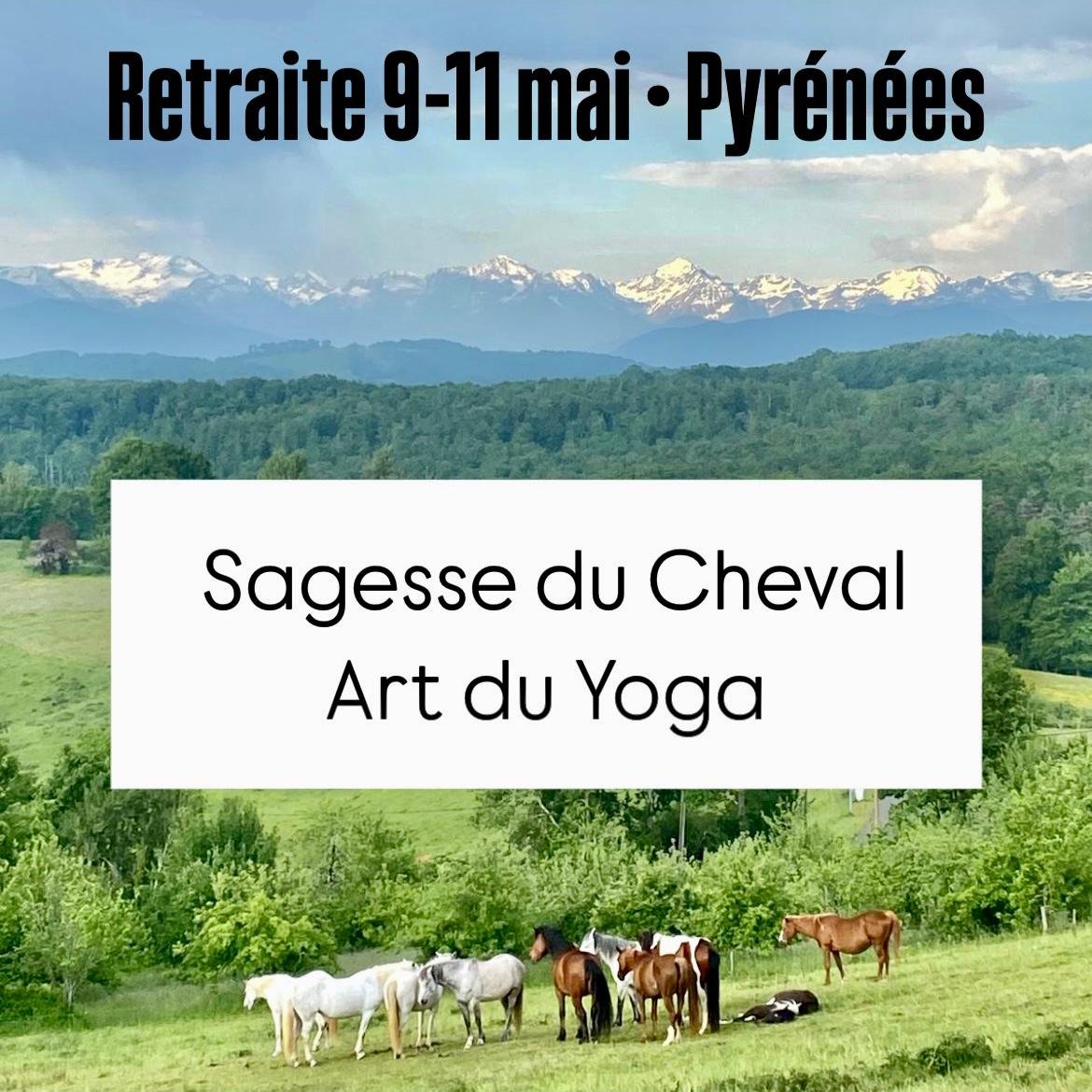 WhatsApp Image 2025-04-20 à 15.29.55_5a6d25fb Yoga & Cheval Ariège