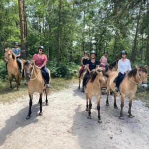 Yoga Cheval Fontainebleau