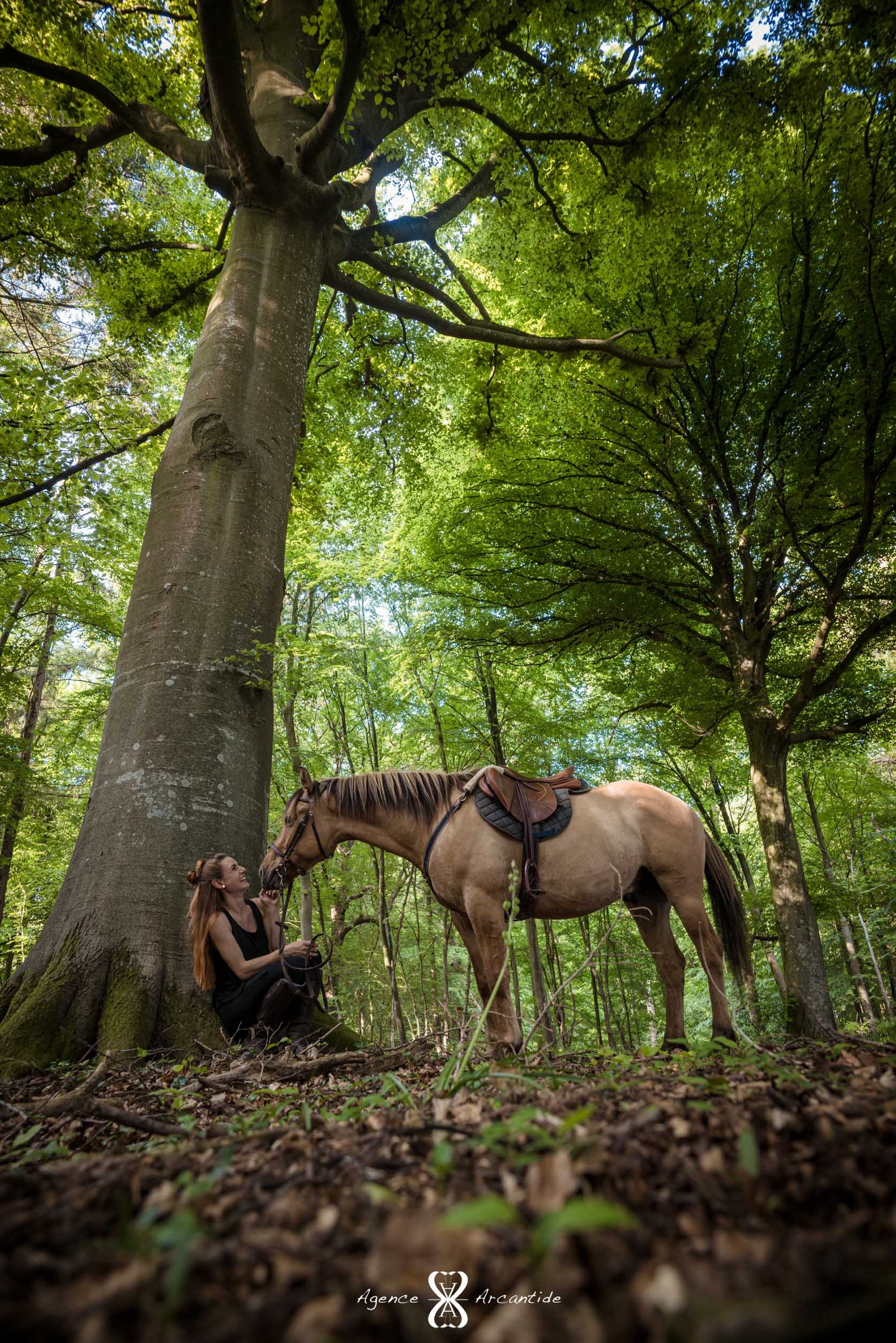 Yoga Cheval Fontainebleau