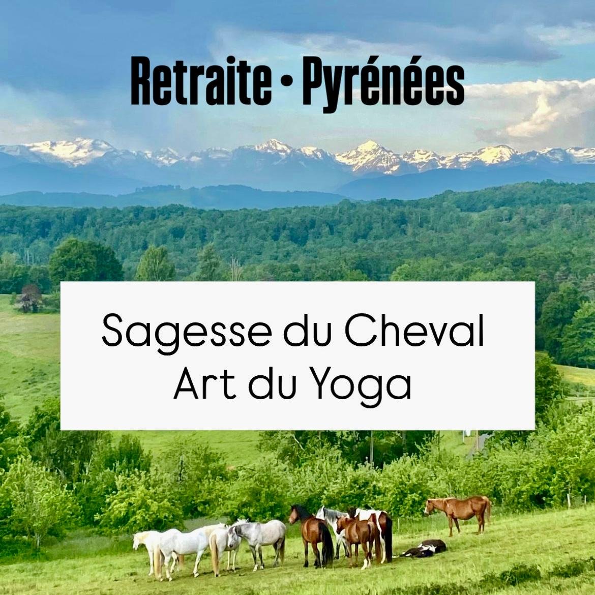Yoga Cheval Ariège